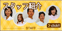 スタッフ紹介