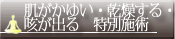 �������䂢�E��������E�P���o��E���ʎ{�p
