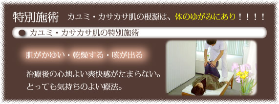 �������䂢�E��������E�P���o��@���ʎ{�p