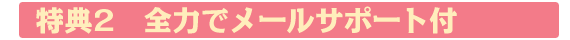 特典2 全力でメールサポート付